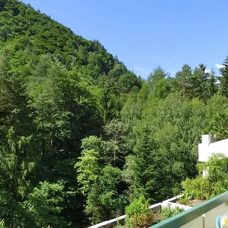 Apartament Lb2 Seeappartement Haus Mit Direktem Seezugang Am Ossiachersee *